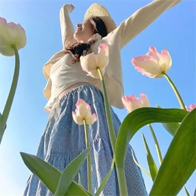 法官老张轶事之审牛记